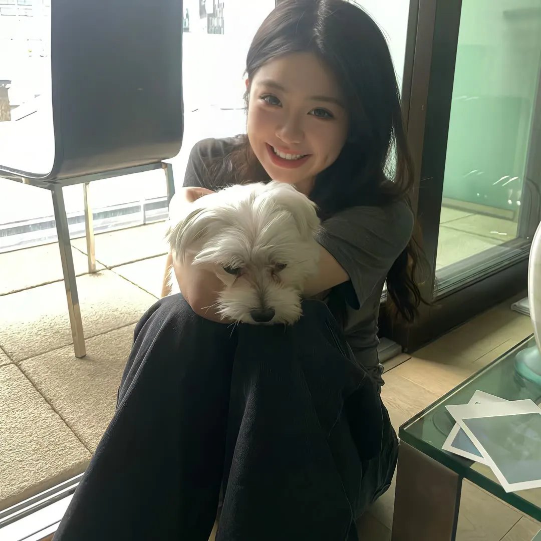 诺姆·麦克唐纳:毫无特别