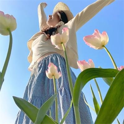 汉堡总动员2